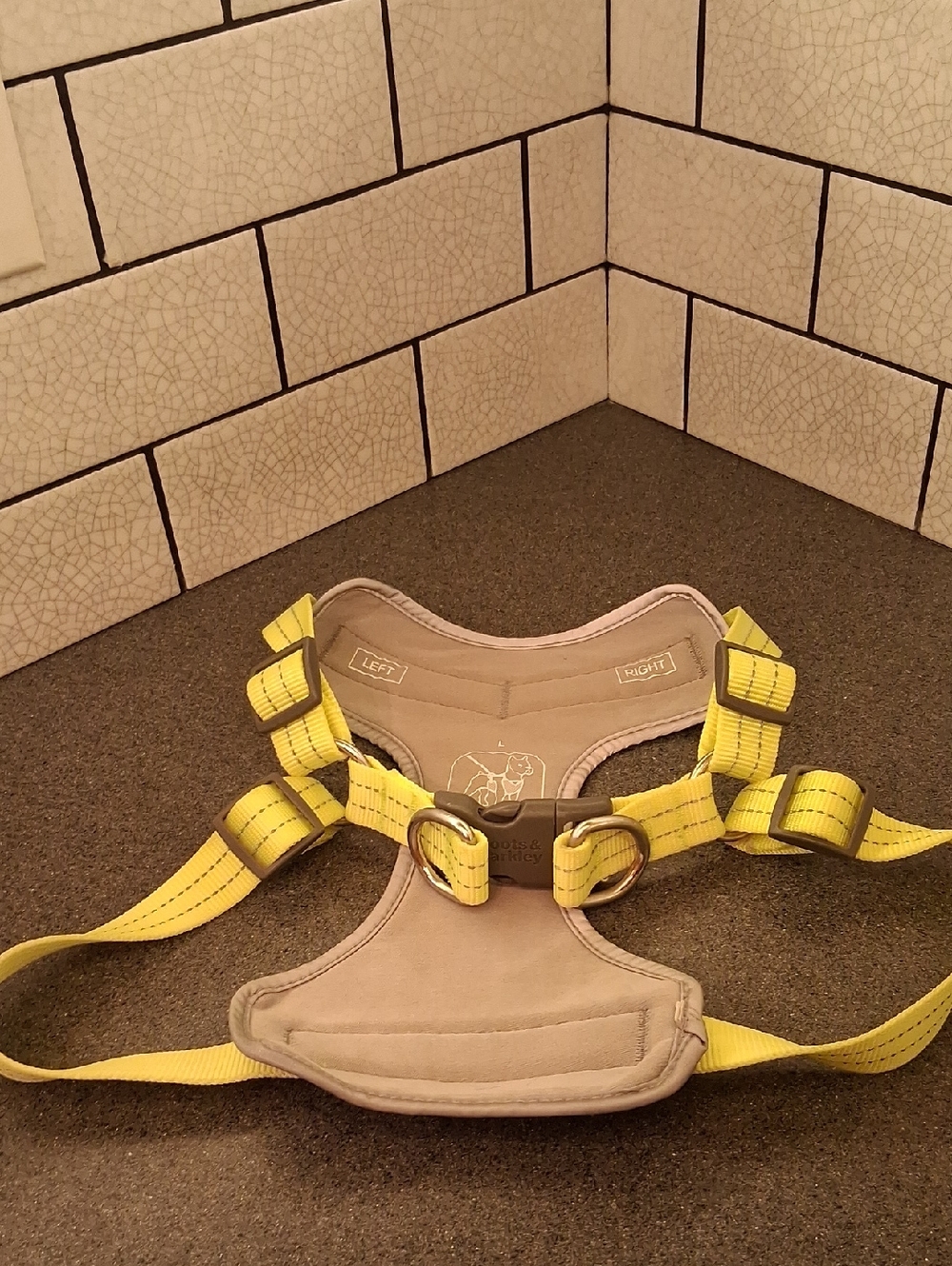 Boots & Barkley Yellow and Tan Padded Dog Harness